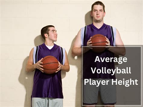  The Impact of Height on Performance
