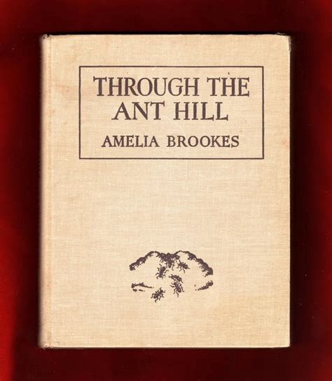  Who is Amelia Brookes? A Comprehensive Account of Her Life