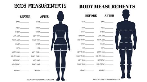 A Figure to Admire: Exploring Sara Lime's Body Measurements