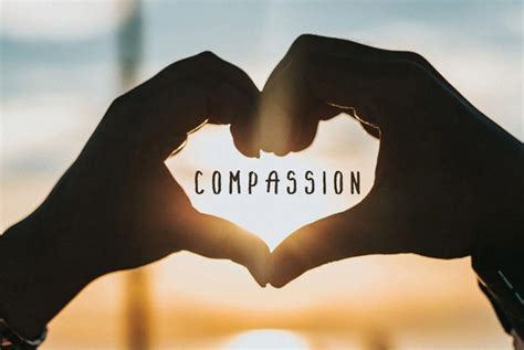 A Journey of Compassion and Service