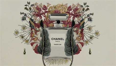 A Journey through the Life and Career of the Enigmatic Chanel Chardonn