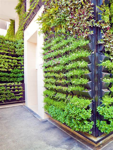 A Rising Star in the Growing Community of Vertical Gardening