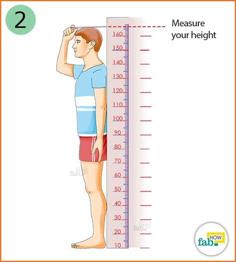 Accurate Measurement of Her Height