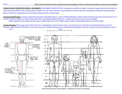 Age, Height, and Figure of [Name]