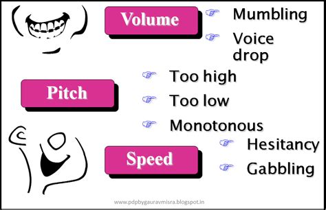 Analyzing the Impact of Tone, Pitch, and Speed on Speech Recognition