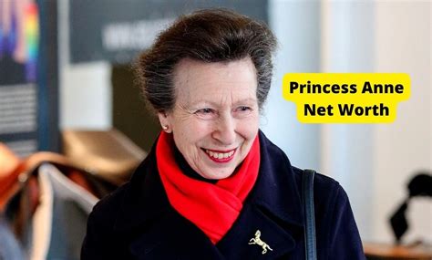Anne's Net Worth and Earnings