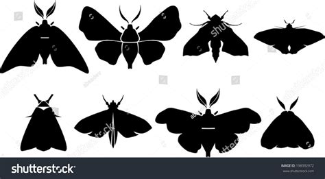 Beyond Beauty: The Alluring Silhouette of Cora Moth