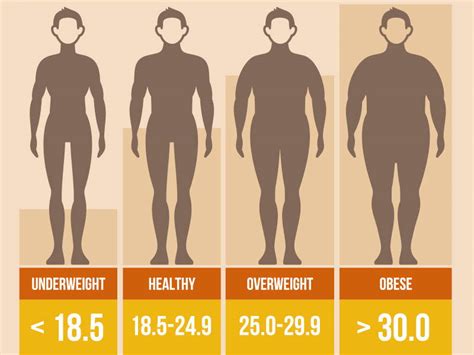 Beyond Numbers: Understanding the Star's Physique and Body Composition