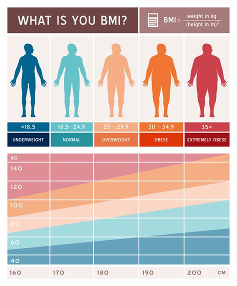 Body Measurements and Body Mass Index (BMI)
