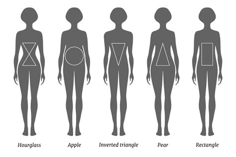 Body Shape and Size: Curves and Proportions