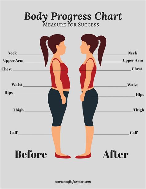 Body measurements and exercise regimen