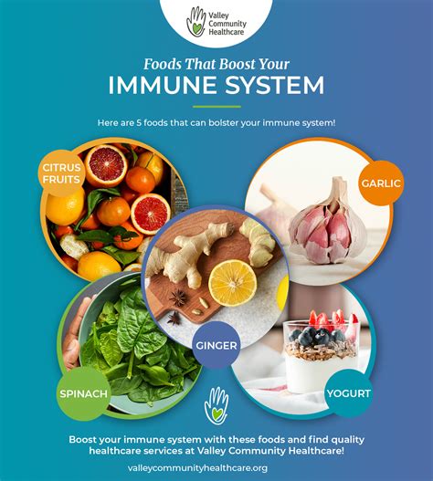 Boost Your Immune System Function
