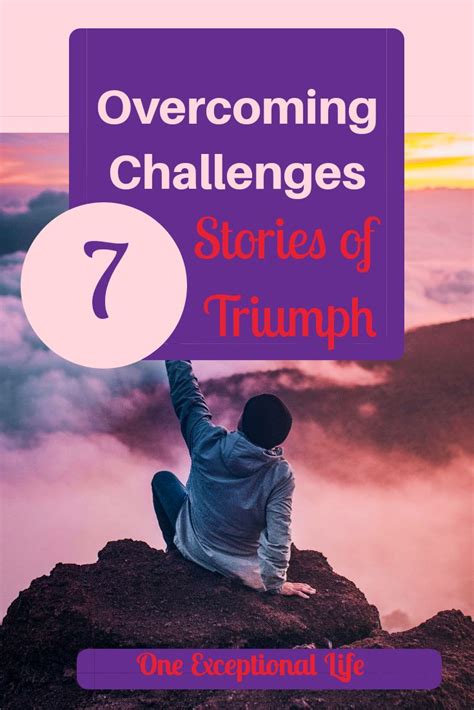 Challenges and Triumphs Along the Journey