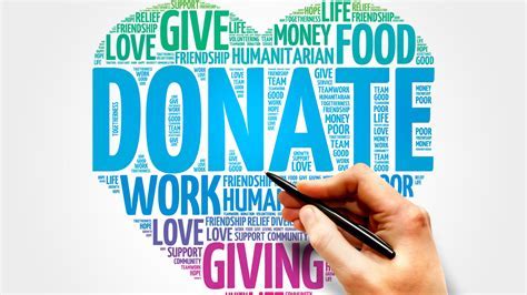 Charitable Endeavors: Lisa's Philanthropic Contributions