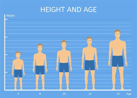 Comparison to Average Height