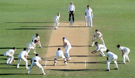 Cricket as a beloved sport