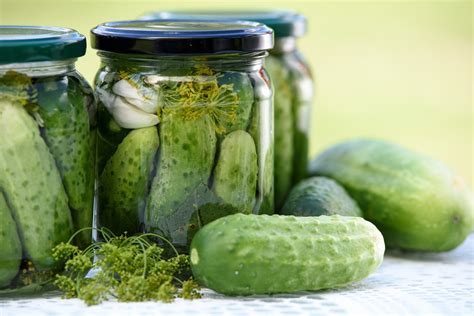 Discovering the Untapped Abilities of Nickel The Pickle