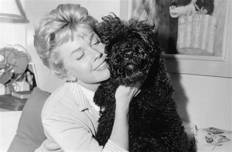 Doris Day's Contributions to Animal Welfare