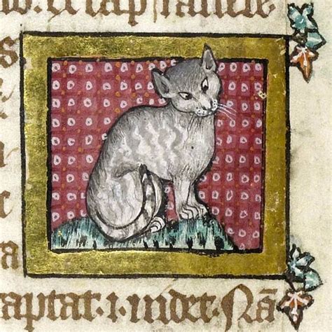 Early Life and Childhood of Christi Cats