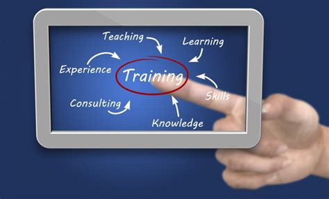 Education and Professional Training