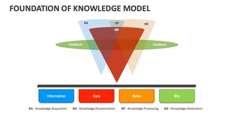 Educational Background: The Foundation of Knowledge