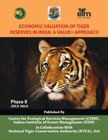 Evaluating Nita Tiger's Financial Value