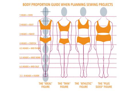 Examining the Body Shape and Proportions of Dawndi