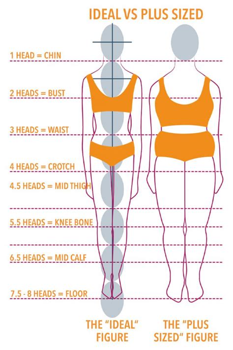 Exploring Candy Ann's Body Measurements and Proportions