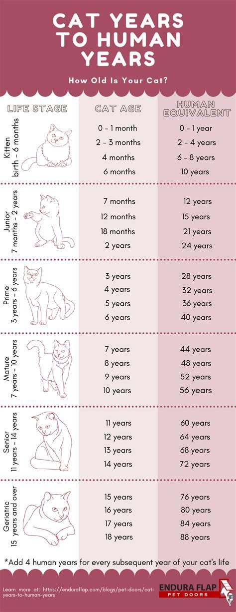 Exploring Cat Daniels' Age and Birthdate