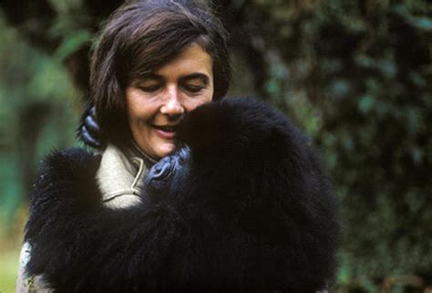 Exploring Daisy Fossey's Inspirational Achievements