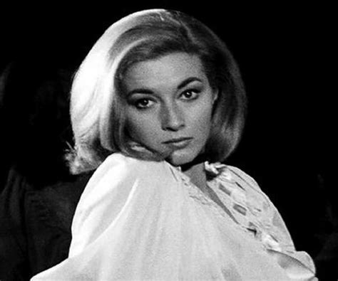 Exploring Daniela Bianchi's Height and Figure