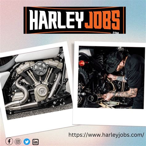 Exploring Harley Ace's Career and Achievements