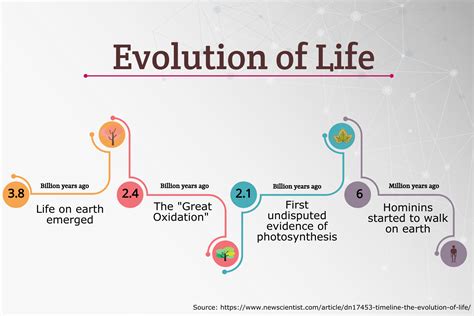 Exploring Time: The Evolution of Years in the Life of a Remarkable Individual