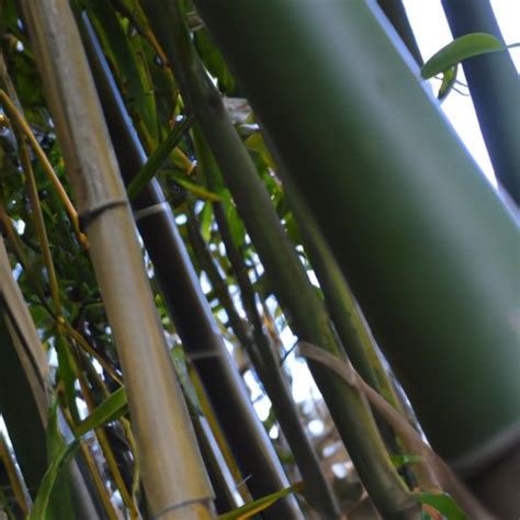 Exploring the Age of Bamboo: Ancient Uses and Cultural Symbolism