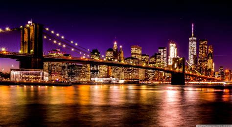 Exploring the Enchanting allure of the Brooklyn Night