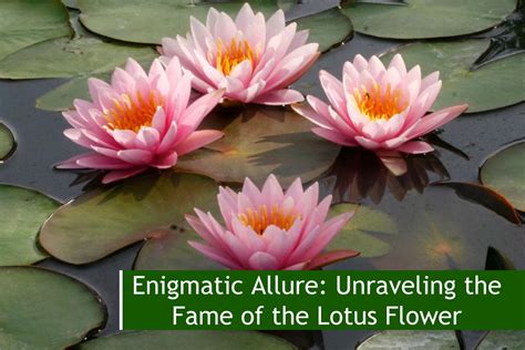 Exploring the Enigmatic World of Lotus Blossom: An Insight into Her Captivating Universe