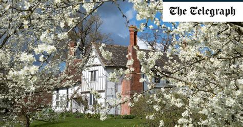 Exploring the Financial Standing of an English Blossom