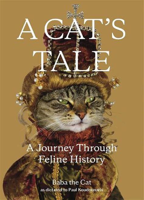 Exploring the Journey and Era of Feline Awakening
