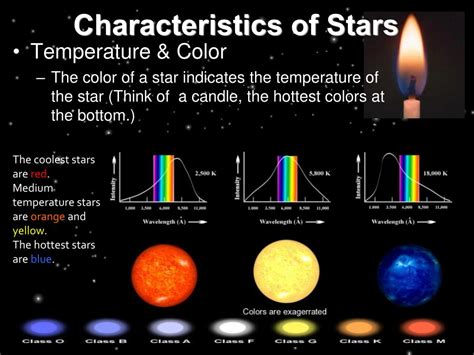 Exploring the Personal Details and Physical Attributes of a Star