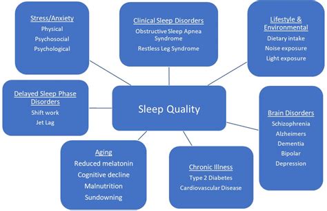 Factors that Influence the Quality of Sleep