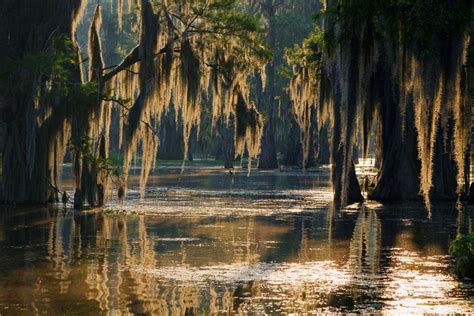 Fascinating Facts About the Enchanting Cajun Beauty
