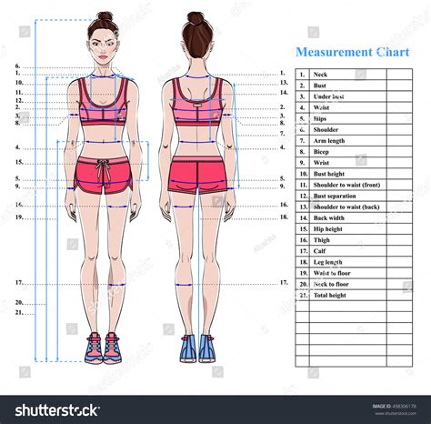 Figure: Exploring Seda's Body Measurements