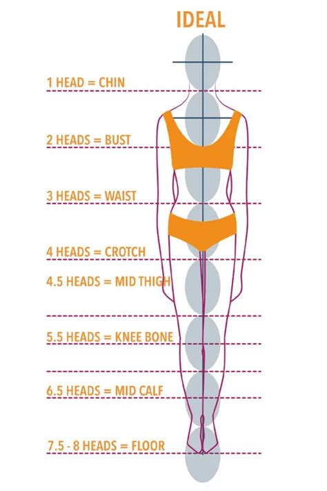 Figure: Sydney Cole's Perfect Proportions