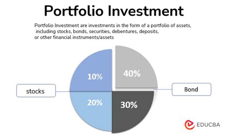 Financial Status and Investment Portfolio