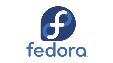 Financial Success of Fedra A Fedora: An Analysis of Net Worth
