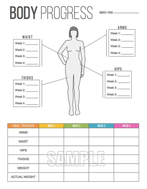 Fitness Regime and Body Measurements