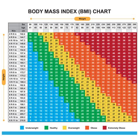 Height, Body Measurements, and Weight