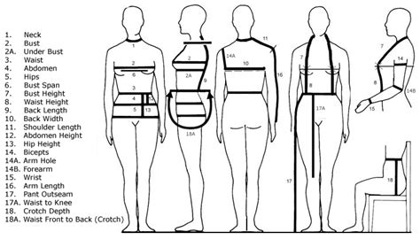 Height, Figure, and Fashion Statements
