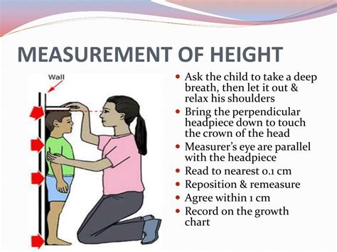 Height: Beyond Physical Measurements