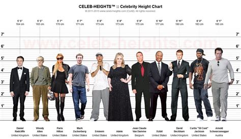 Height: How Tall is the Remarkable Individual?